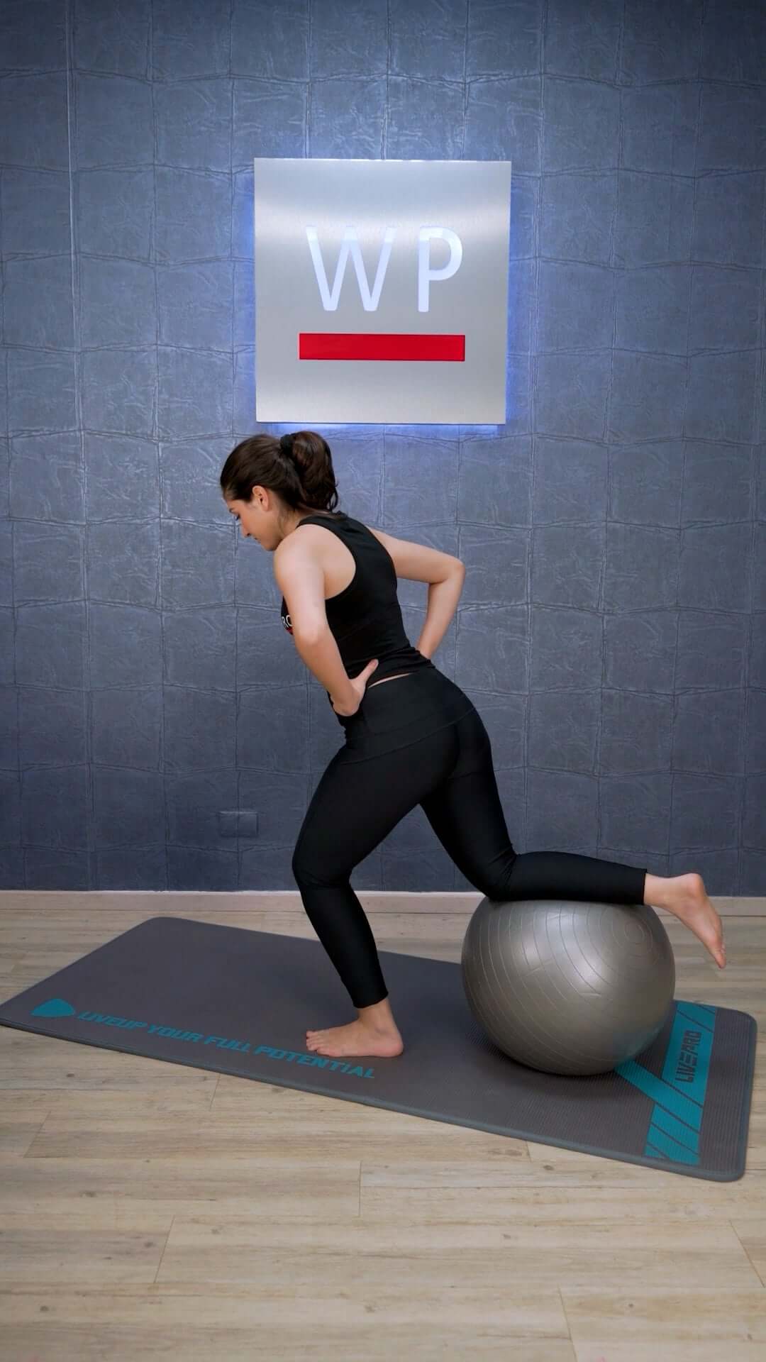 LIVEPRO Bola Estabilizadora Core - Fit - Wellness Pro Fitness Equipment