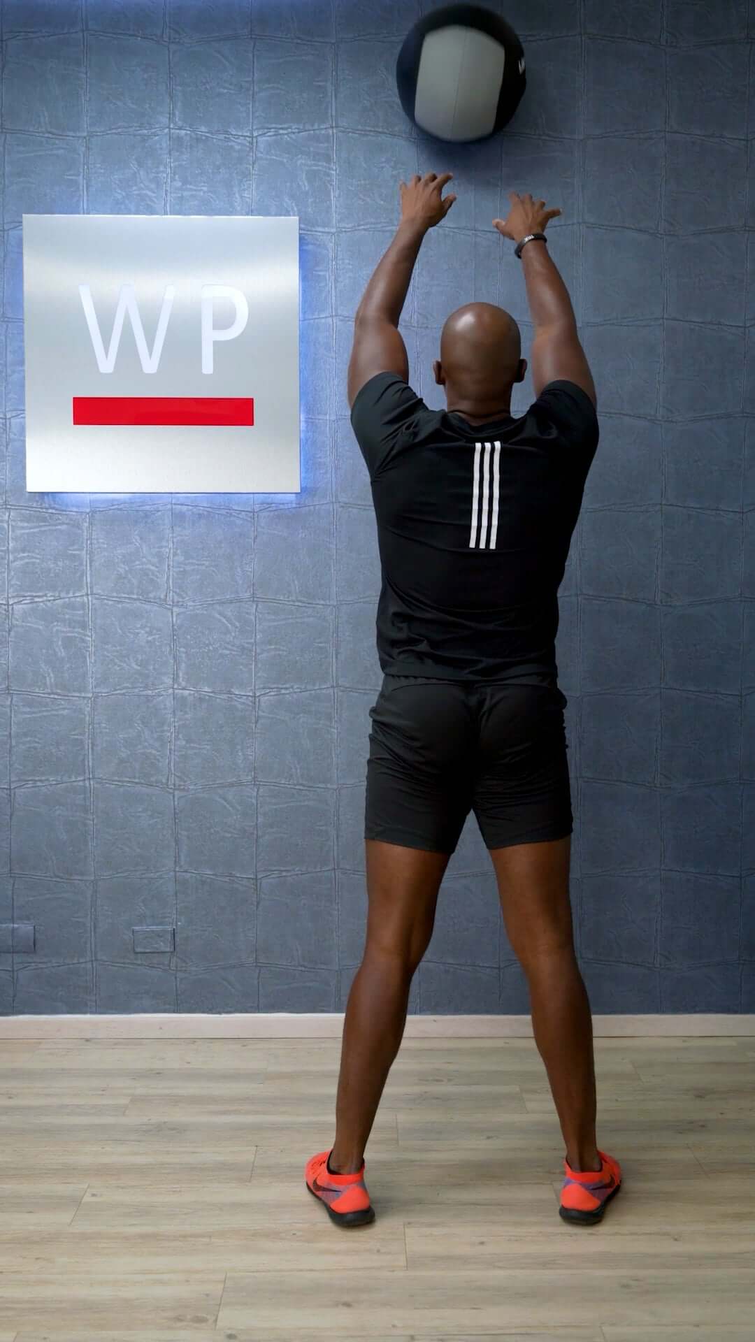 LIVEPRO Bolas Premium Para Lanzar Contra Pared / Premium Wall Ball - Wellness Pro Fitness Equipment