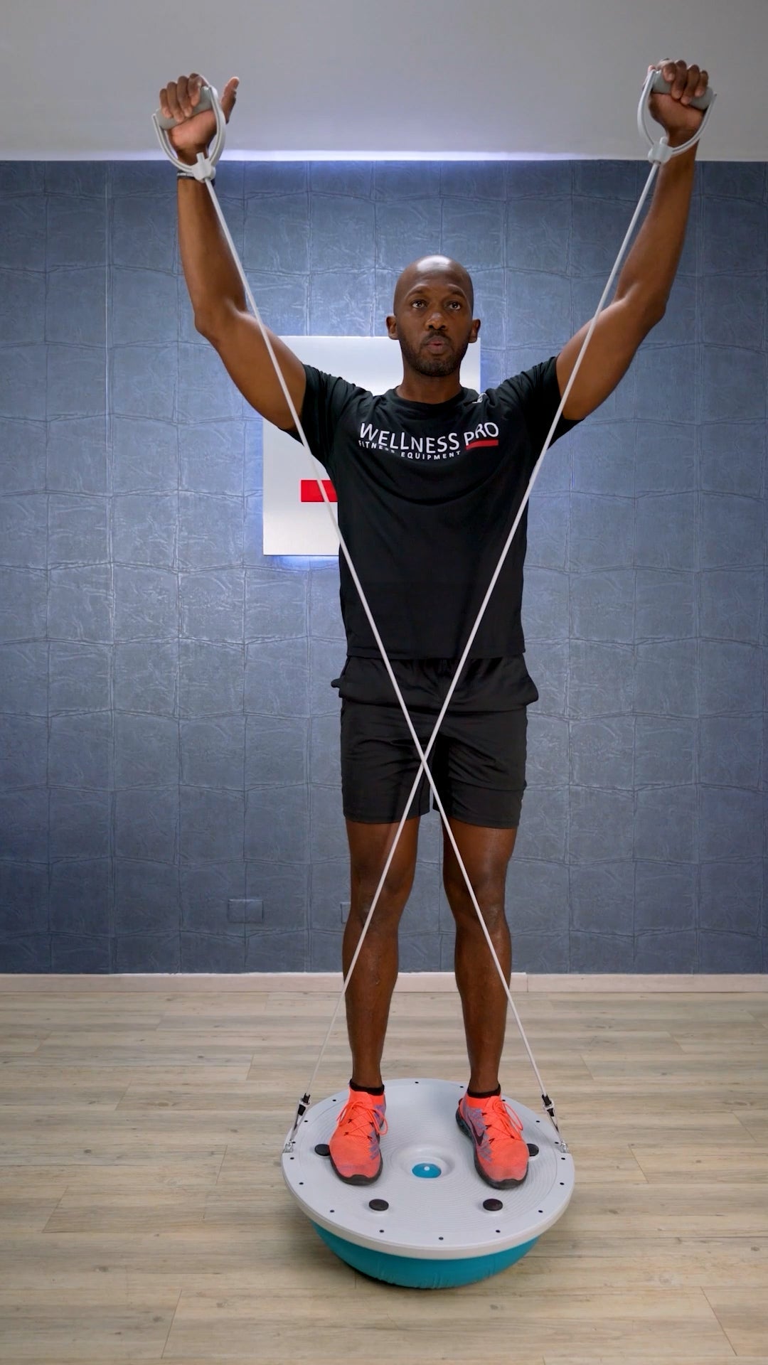 LIVEPRO Entrenador de Balance / Balance Trainer - Wellness Pro Fitness Equipment