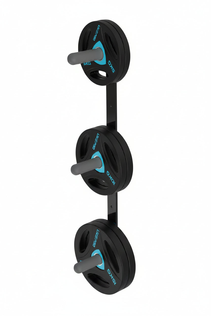 LIVEPRO Rack Para Platos Colgado En Pared / Plate Rack Wall Mounted - Wellness Pro Fitness Equipment