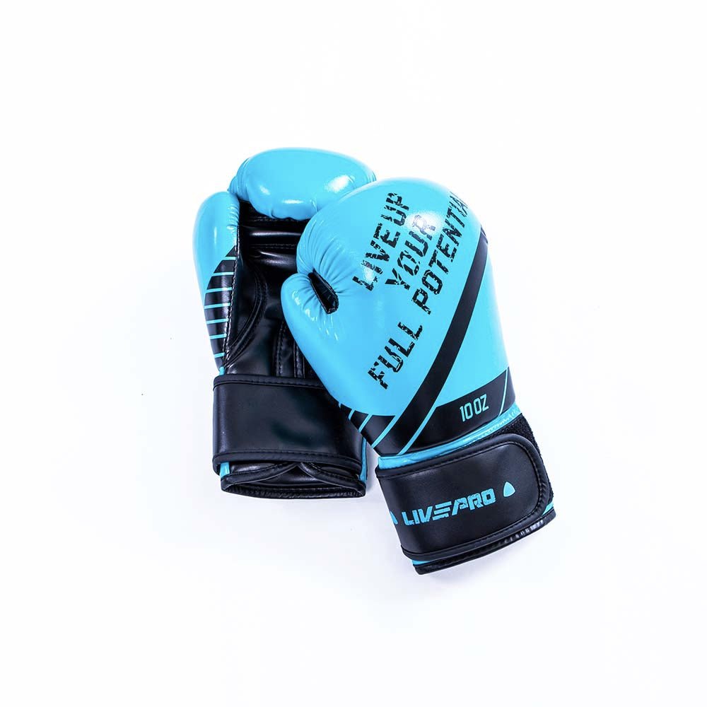 Boxing Gloves - Wellness Pro Fitness Equipment