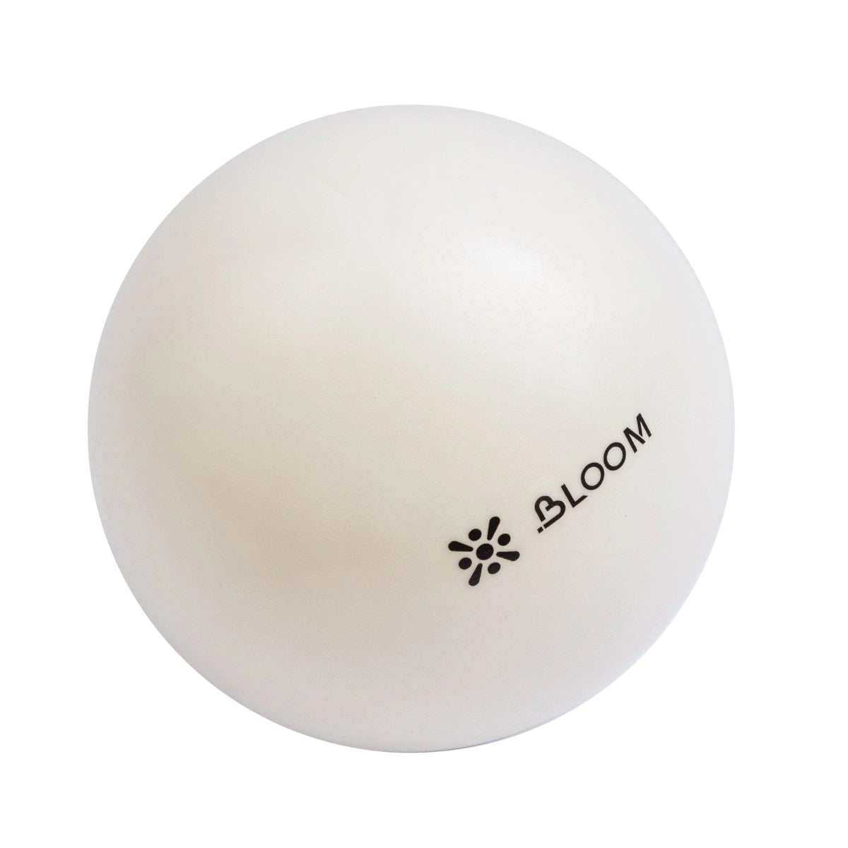 Pilates Ball 20cm - Wellness Pro Fitness Equipment