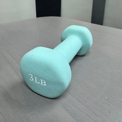 Studio Dumbbells (pair) - WP Tienda