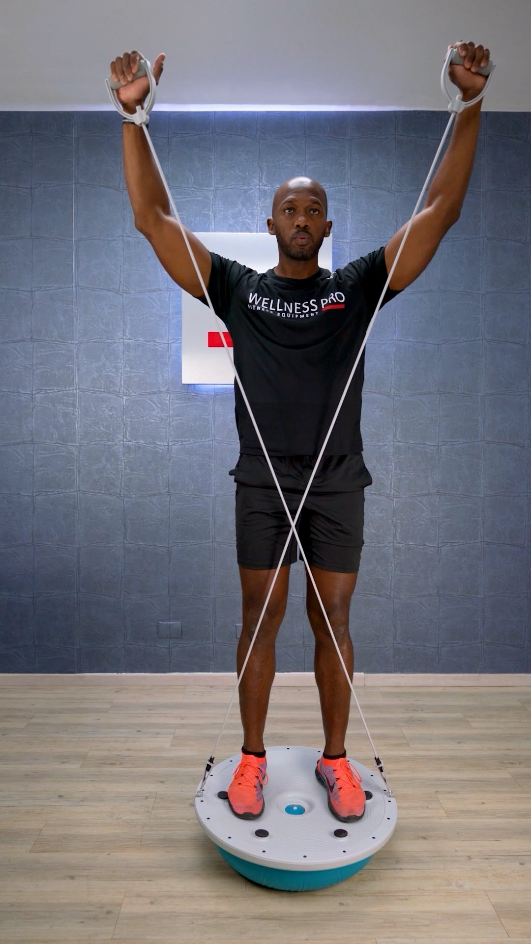 LIVEPRO Entrenador de Balance / Balance Trainer
