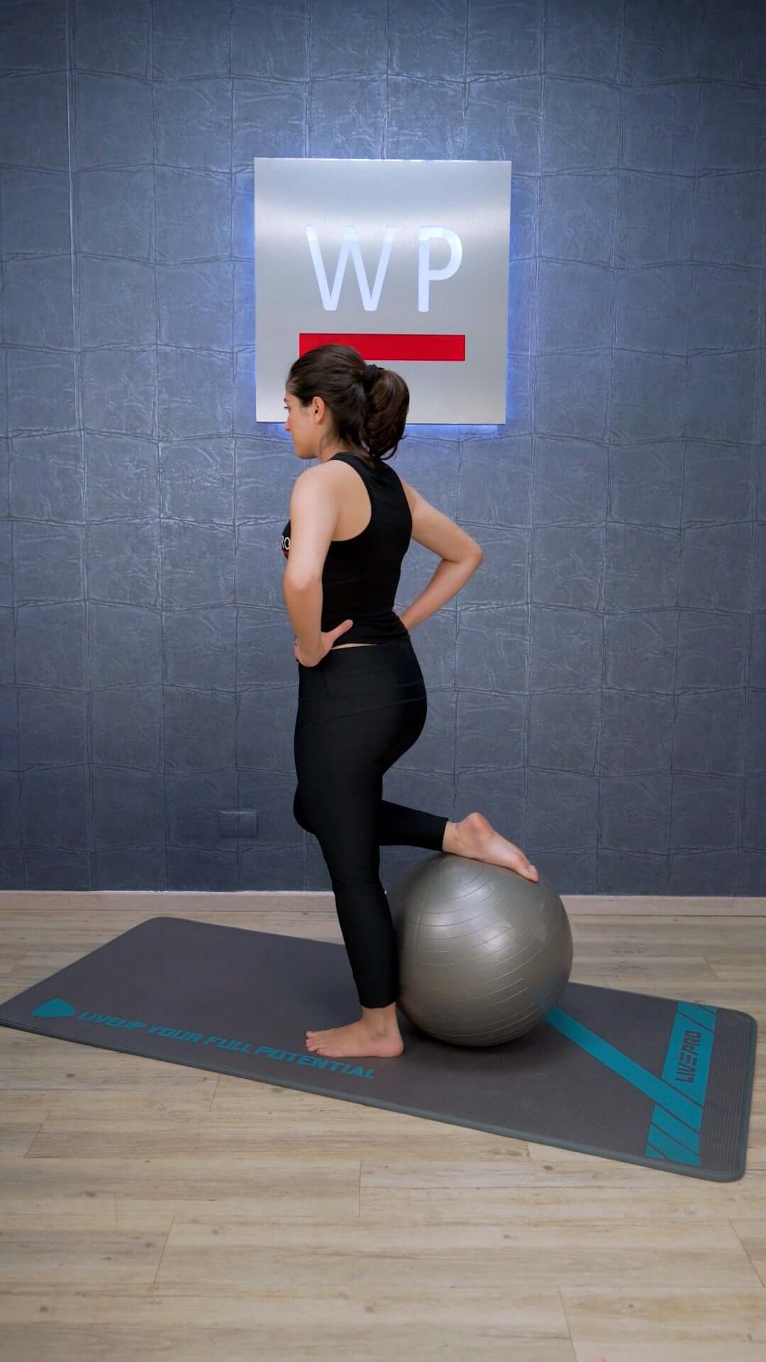 LIVEPRO Bola Estabilizadora Core-Fit