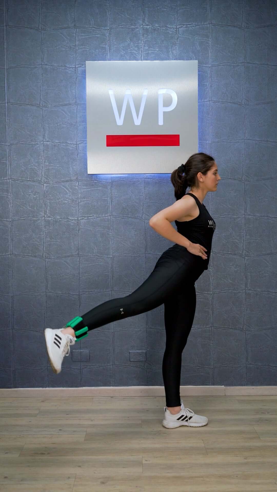LIVEPRO Bandas para Tobillos + Muñeca (par) / Ankle Wrist Weight (pair)