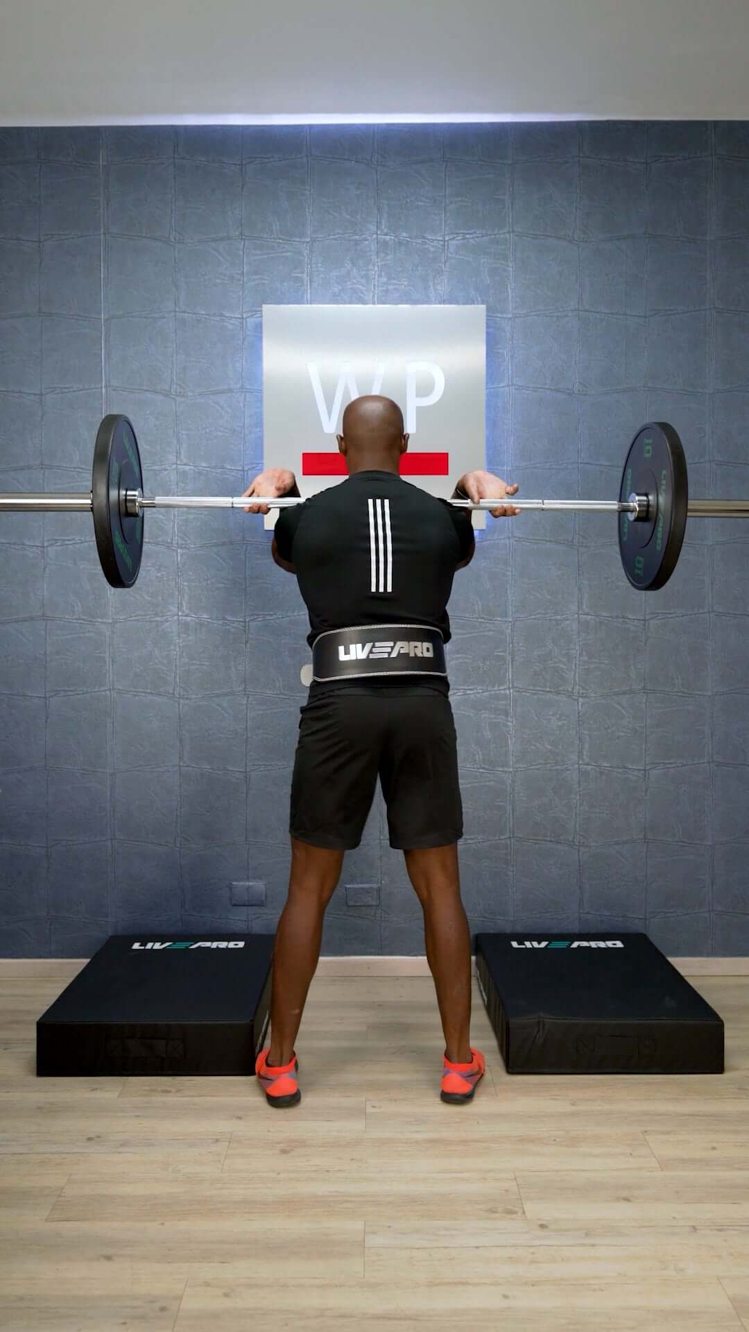LIVEPRO Cinturón Levanta Pesas / Weight Lifting Belt