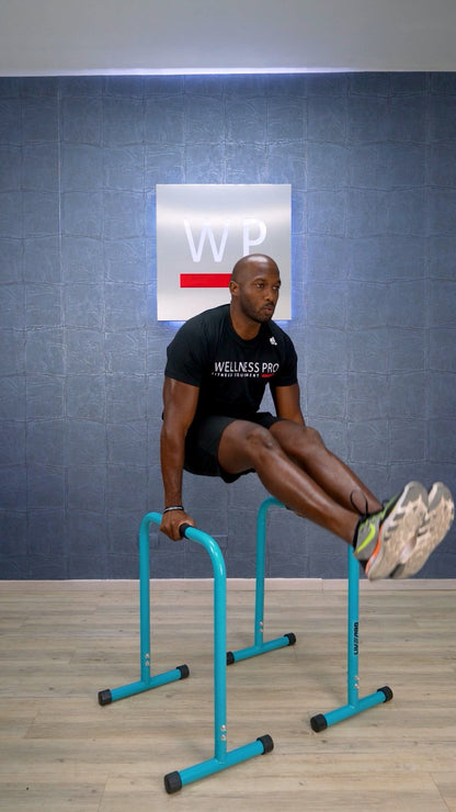 LIVEPRO Barras Paralelas / Parallettes - Wellness Pro Fitness Equipment