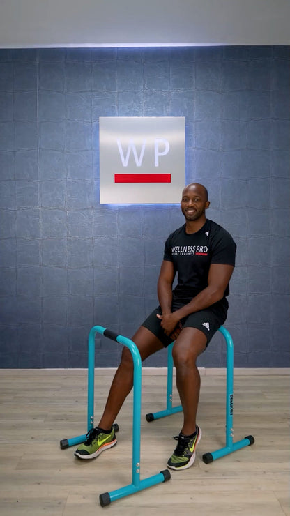 LIVEPRO Barras Paralelas / Parallettes - Wellness Pro Fitness Equipment