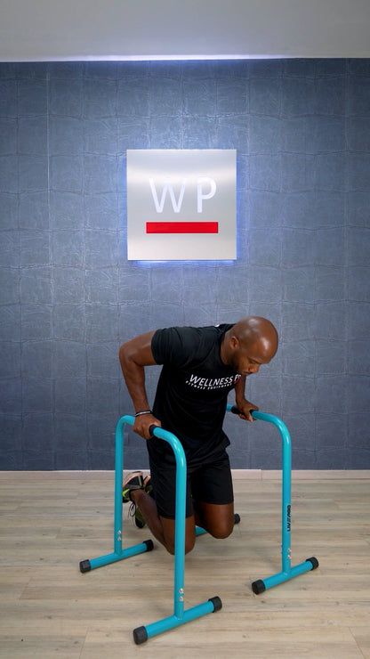 LIVEPRO Barras Paralelas / Parallettes - Wellness Pro Fitness Equipment