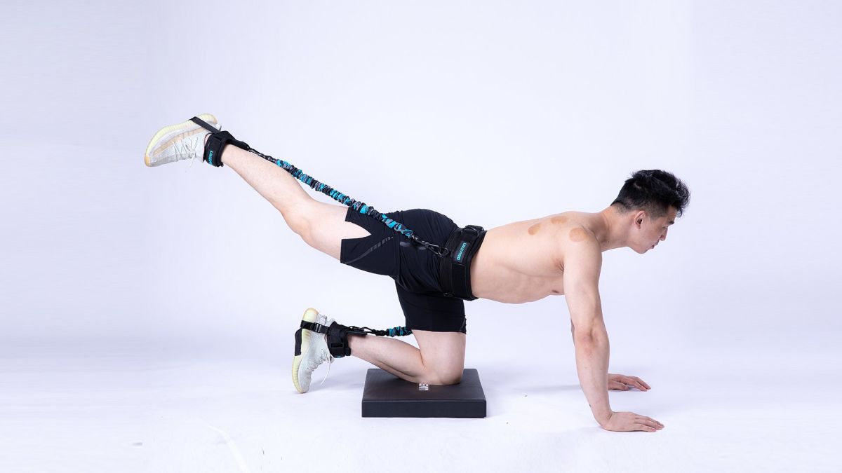 LIVEPRO Entrenadora De Rebote (Brincos) / Bounce Trainer - Wellness Pro Fitness Equipment