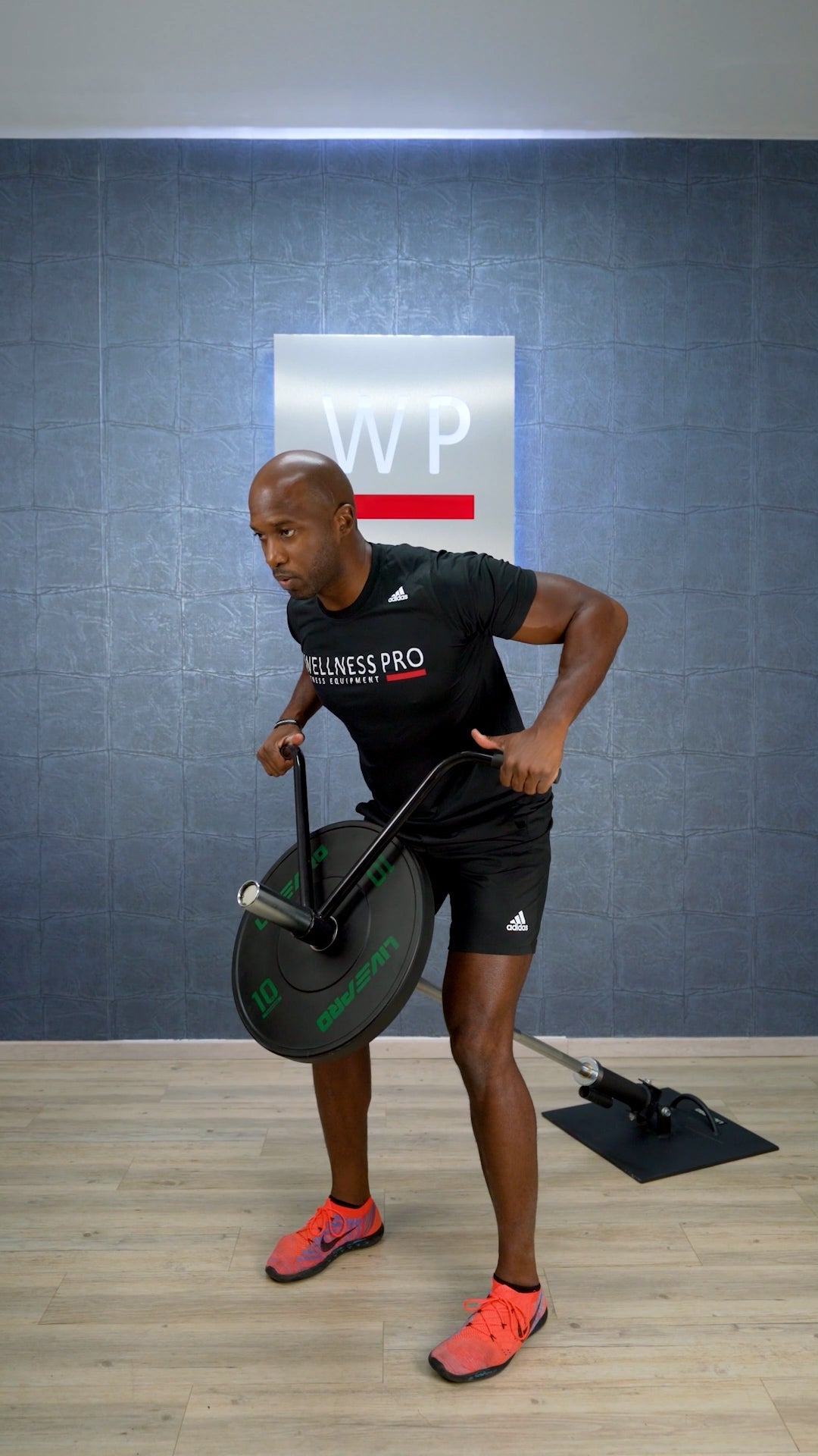 LIVEPRO Juego de Core Plate / Core Plate Set - Wellness Pro Fitness Equipment