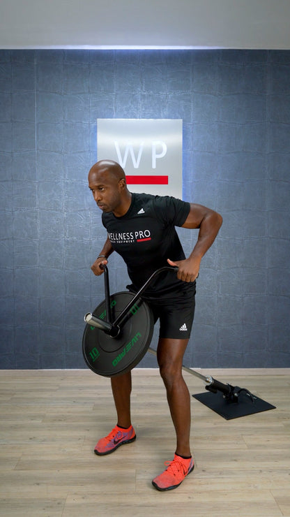 LIVEPRO Juego de Core Plate / Core Plate Set - Wellness Pro Fitness Equipment