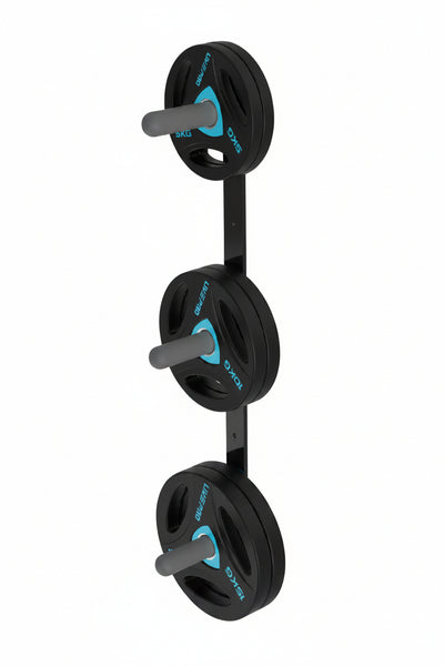 LIVEPRO Rack Para Platos Colgado En Pared / Plate Rack Wall Mounted - Wellness Pro Fitness Equipment