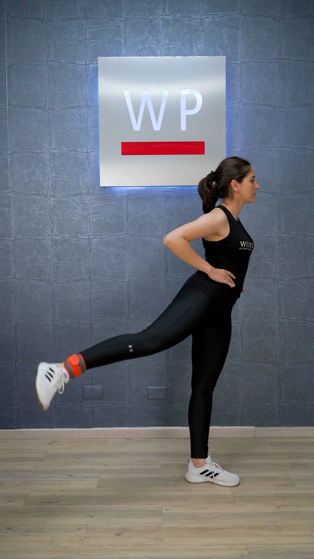 LIVEUP Par de Pesas para Tobillos + Muñeca / Ankle Wrist Weight - pair - Wellness Pro Fitness Equipment